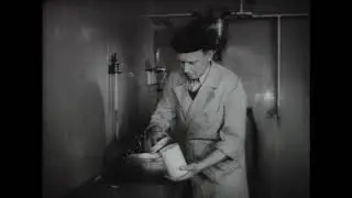 Wie erhält man erstklassige Milch (Schweden, ca. 1950)