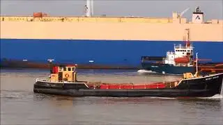 BERT PRIOR, Small Cargo Vessel, 2017. Thames Shipping by R.A.S.