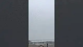 Fallo de 600 drones en un show en China 😱
