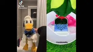 Donald Duck Compilation Part 2 2023