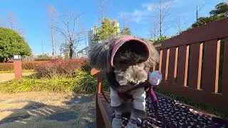 26년 1월 매일 산책 ASMR 477일차 [POV: Dog walk in Busan 🐾 | ASMR &mdash; Day 477 (Korea, Jan &rsquo;26)]