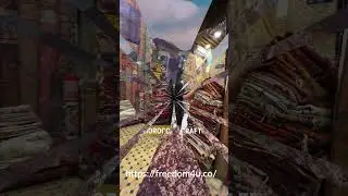 Discover Freedom