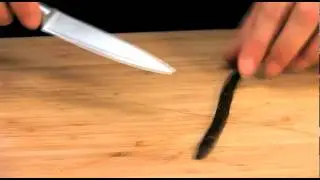 Splitting Rodelle Vanilla Beans