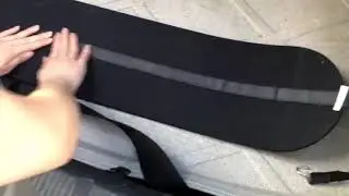 TRex 8 Inch Video 2