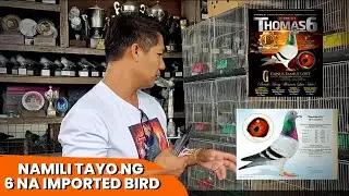 ANG MAHAL PALA MAG IMPORT NG IBON GALING US.part 1