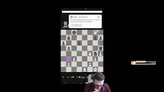 Кот или Собака? #министрим 🎮 #SundayCity от Kefir Games