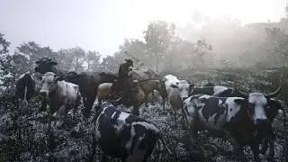 Cattle Herding, Trail Riding & Hunting | Exploring The Tackroom on RedM