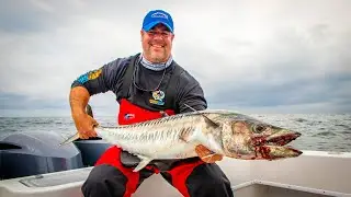 King Mackerel Flying Out of the Water Feeding Frenzy