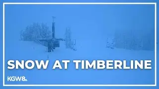 Heavy snow at Timberline on Mount Hood | Live look