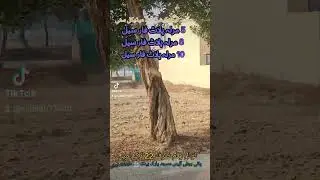 Bahria education and medical city Lahore Main Sui e Asil Raiwind Road Lahore 5m Plot For Sale Hot 