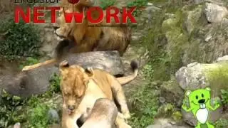 ECO CHIAPAS TOURS