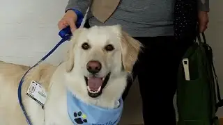 Maple Grove Hospital has a new Therapy Dog