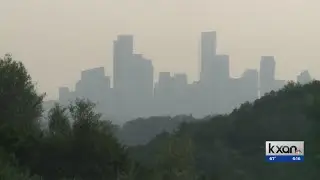 Vaccine could be coming for 'Cedar Fever'