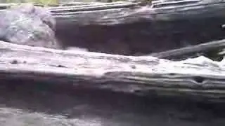 07.25.06 Stanley Hot Springs in Idaho Clip 05