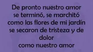 Días Felices - Puro Sentimiento [Letra]