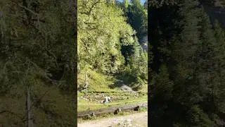 Oblazy Kvacianska dolina part 2 #mountainswiev #travel #slovakia #mountains #shorts