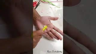 Quilling Rose 🌹 |#paper_twist_artistry |#trending |#quillingpaper |#quillingpaper |#ytshorts |#diy