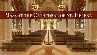 Friday 1.23.26 Morning Daily Mass (7am) at the Cathedral of St. Helena