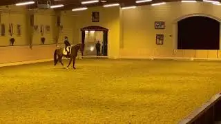 Belaggio - Ankum, Germany - 17/1/20