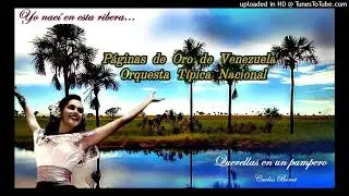 Querellas en un pampero: Carlos Bonet - Orquesta T&iacute;pica Nacional.
