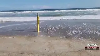 High tide from Hurricane Erin impacts sea turtles