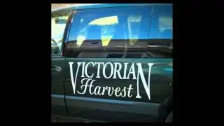 CarAdvertisingStickers.mp4