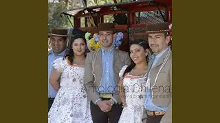 Bellos Ojos Morenos
