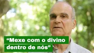 A medita&ccedil;&atilde;o, yoga e Ayahuasca