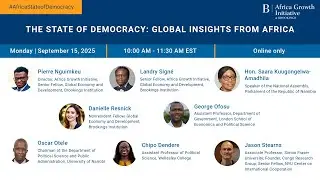 The state of democracy: Global insights from Africa