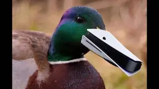 PS5 Memes Compilation
