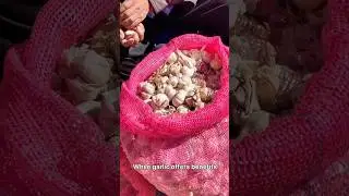 Eating 8 Cloves of RAW Garlic in One Night What Happens?