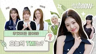 [ENG] 아이브(IVE)가 들려주는 오늘의 TMI부터, 😘웅니😘 4가지 버전까지 💘 DIVE, 무엇이든 물어봐 💌 | #OUTNOW 220822