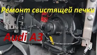 Удаление скрипа моторчика печки в Audi A3