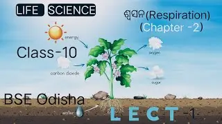 10th Class Life Science Chapter2 || Respiration || Odia Medium || lecture 1