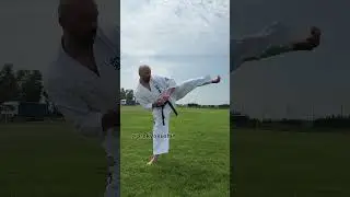 Kata Training with Alexandre Delahaye: Shinkyokushinkai karate seminar Colmar, France 13-15.06.2025