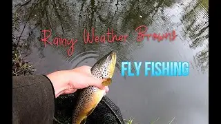 Small River Streamer Fishing for Brown Trout in Overcast Conditions!
