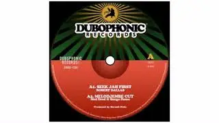 Hermit Dubz / Robert Dallas / Ranking Joe /  - Seek Jah First - 12