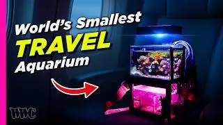 The Reef Tank That Flies on Planes!? | RoamingReef&rsquo;s Traveling Aquarium