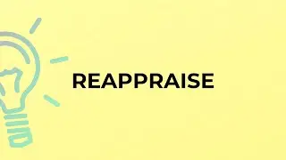 What is the meaning of the word REAPPRAISE?
