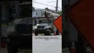 24/7 Emergency Tree Removal Service In York, PA | Oathkeepers tree care