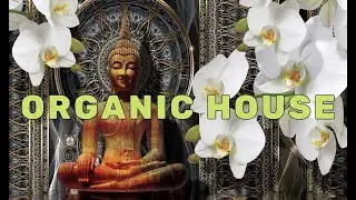 ORGANIC HOUSE 5 #music #dj #housemusic #organic #zen #buddha