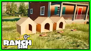 How To Buy Dogs And What Do They Do In Ranch Simulator