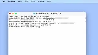 Полезные команды сетевого терминала macOS &mdash; прямой и обратный поиск на локальном DNS-сервере