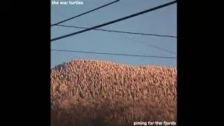 Worms In The Wind Pt. 2