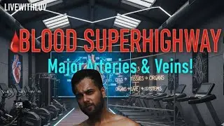 BLOOD SUPERHIGHWAY: Major Arteries & Veins! (Aapka Pump Kitna Strong Hai?) | LIVEWITHLUV