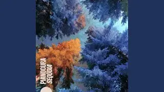 Sequoia
