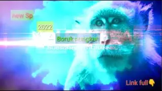 Sp terbaru 2022 || Boruk nungkan