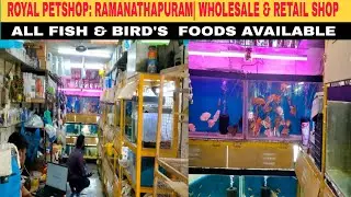 ROYAL PETSHOP: RAMANATHAPURAM| WHOLESALE & RETAIL SHOP| ALL FISH & BIRD'S  FOODS AVAILABLE | 