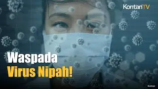 Virus Nipah Jadi Alarm Global, Siapkah Nakes Indonesia?