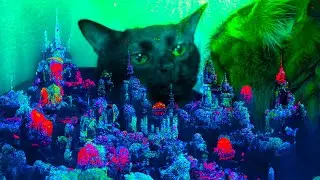 scizzie - aquatic ambience (jinki remix) [house/trance]